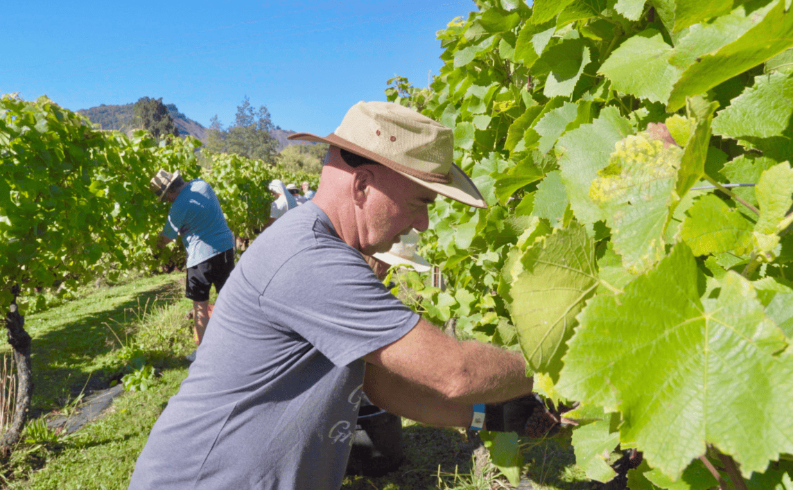 River Haven Vineyard
