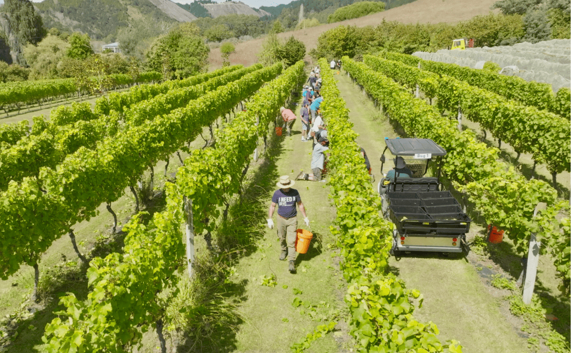 River Haven Wine