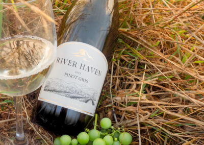 River Haven Pinot Gris Now Available